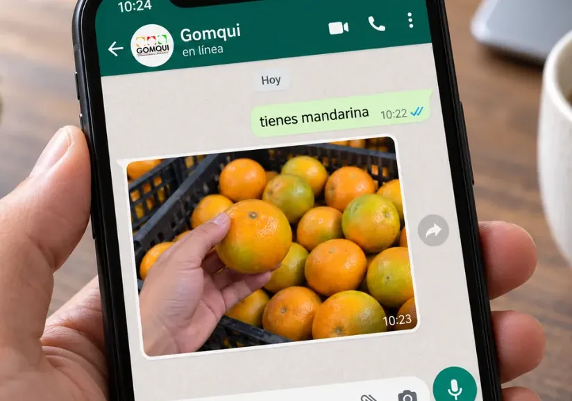 Cliente preguntando por WhatsApp a Gomqui si tiene mandarina y recibiendo foto de la fruta disponible