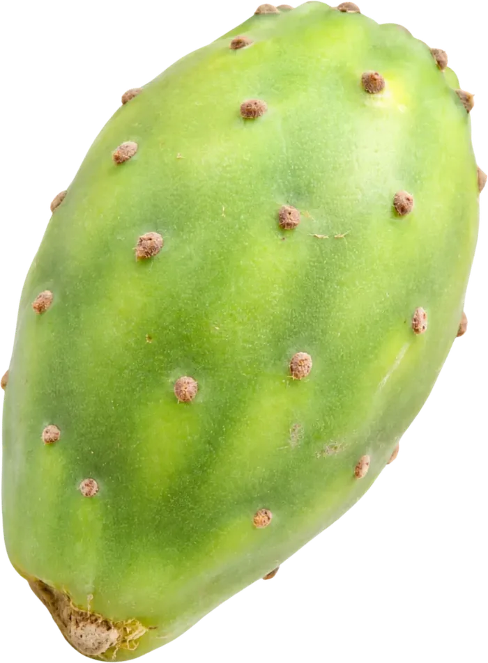 Tuna blanca de Gomqui, disponible por caja en el Mercado de Abastos de Guadalajara